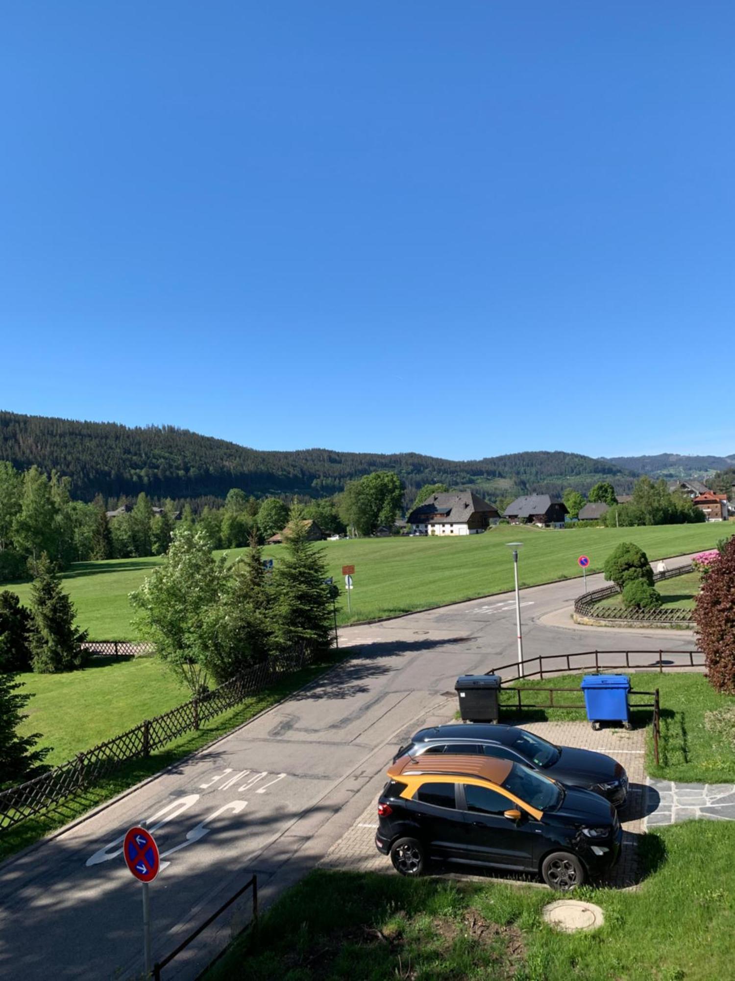 Ferienwohnung Homburger - Titisee Zewnętrze zdjęcie