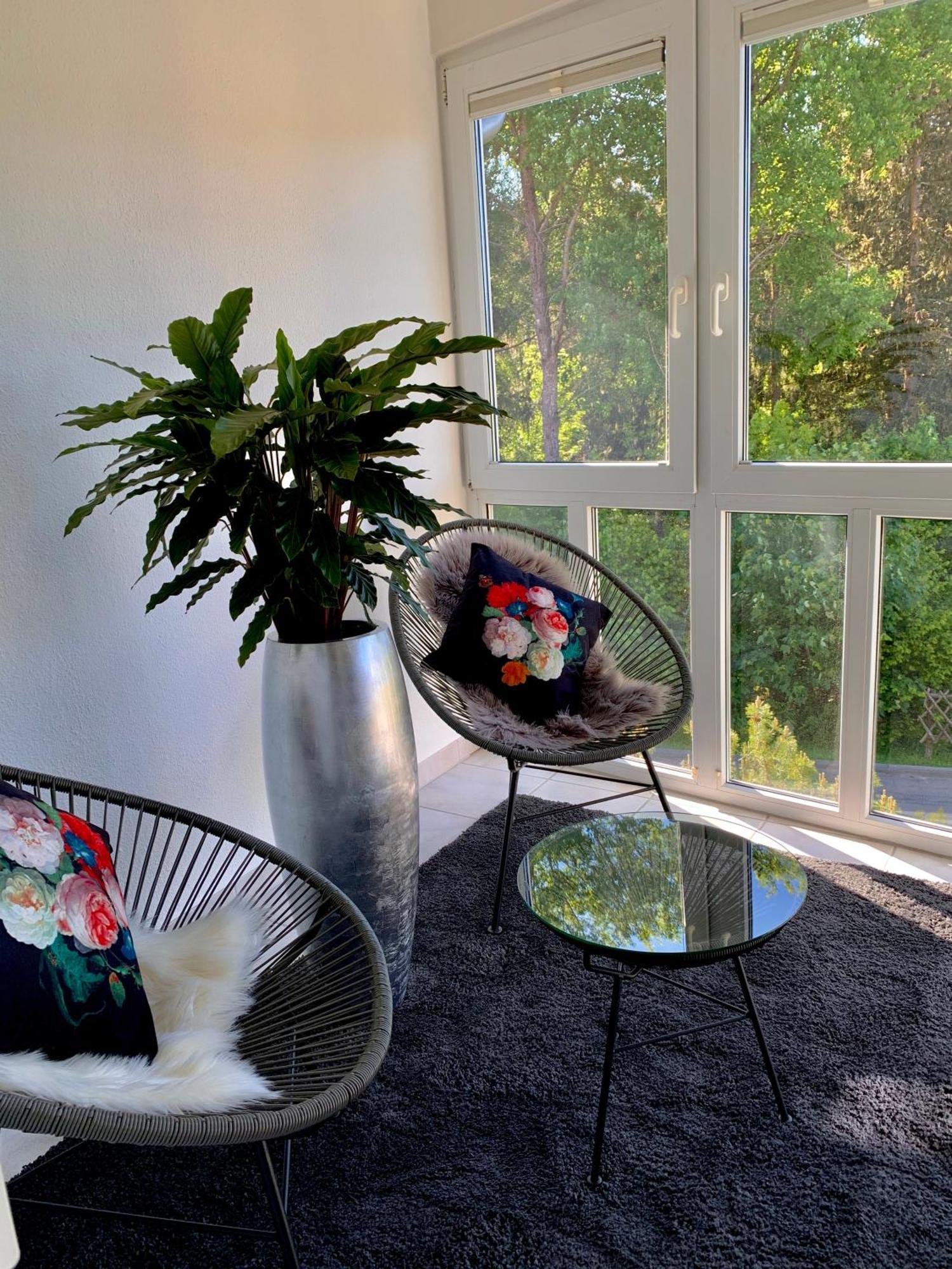 Ferienwohnung Homburger - Titisee Zewnętrze zdjęcie
